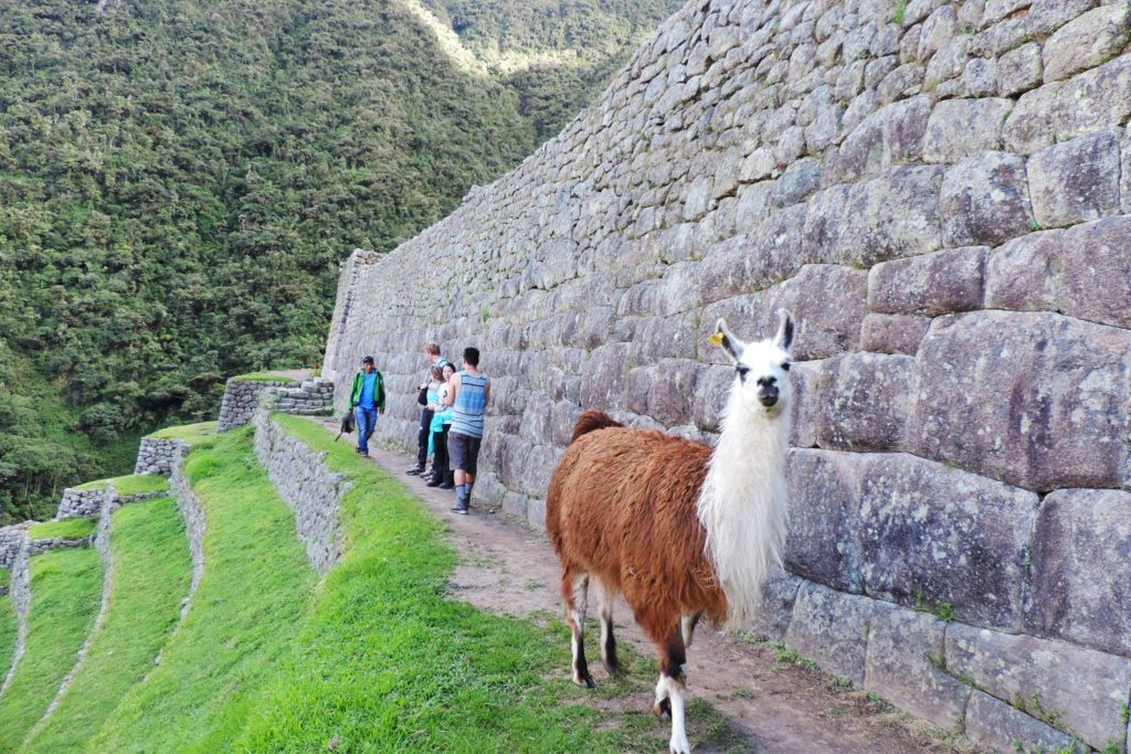 Camino Inca Machu Picchu 4 dias