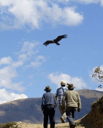 Tour cañon de condor Cusco 1 dia